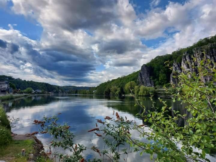 Maison Et Velos A Godinne Dans La Vallee De La Meuse Dış mekan fotoğraf